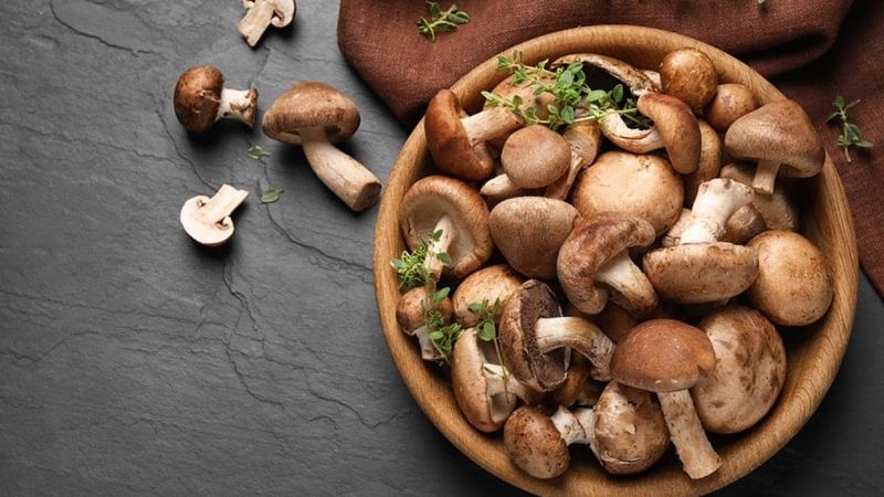 is mushroom good for diabetes