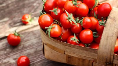 Is Tomato Good for Diabetes? - Sugar.Fit's photo