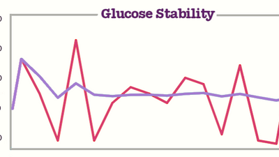 A CGM Interpretation of Stable and Sustainable Fuel - Sugar.Fit's photo