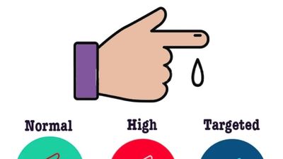 Blood Sugar Levels - Normal, High, Targeted - Sugar.Fit's photo