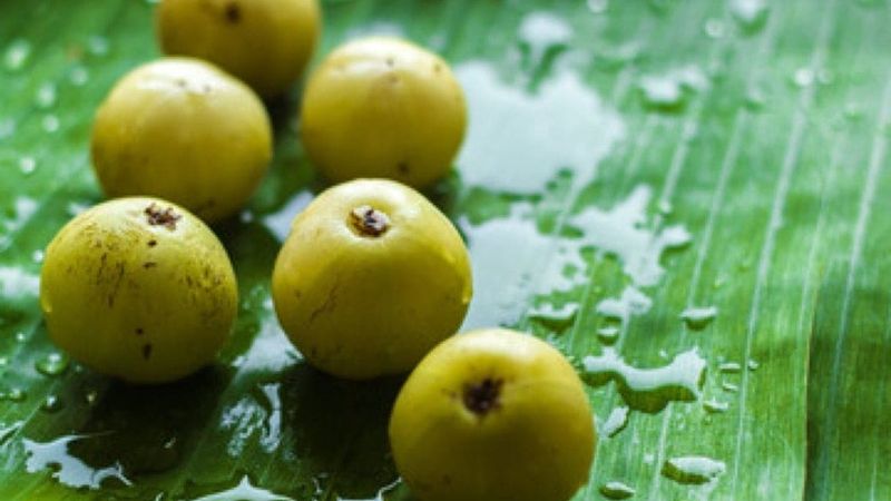 is amla good for diabetes