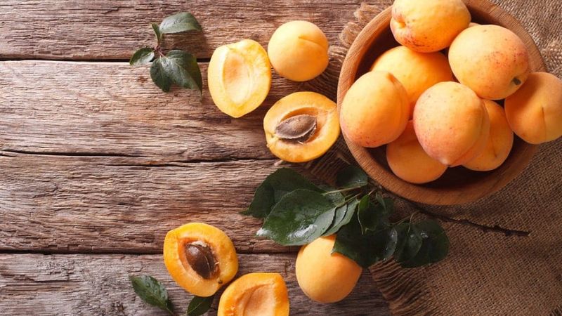 is apricot good for diabetes