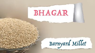 Is Bhagar Good for Diabetes? - Sugar.Fit's photo