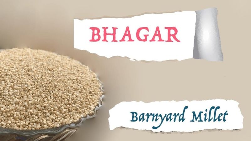 Is Bhagar Good for Diabetes?