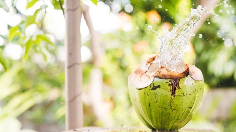 is coconut water good for diabetes
