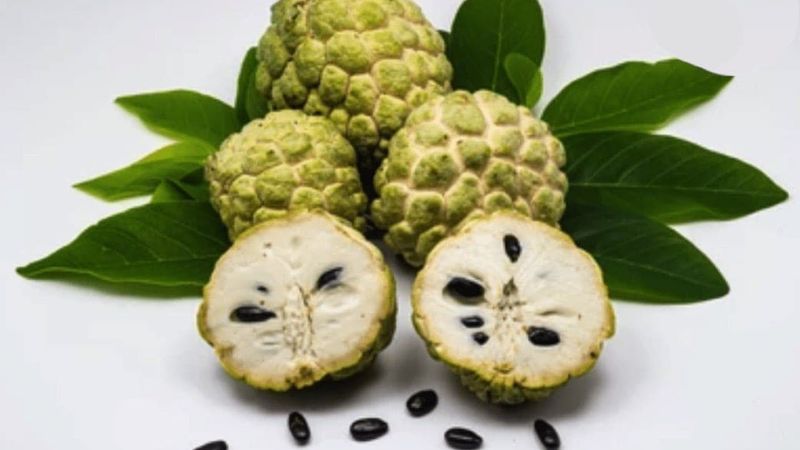 is custard apple good for diabetes