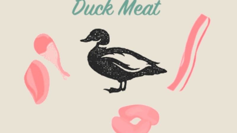 Is Duck Meat Good for Diabetes