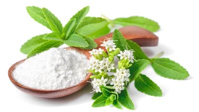 Is Stevia Good For Diabetes? - Sugar.Fit's photo
