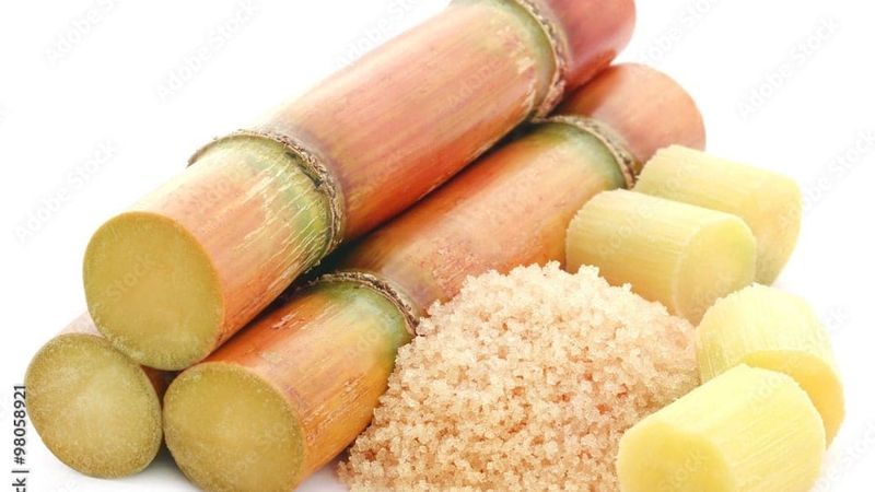 is sugarcane juice for diabetes
