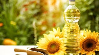 Is Sunflower Oil Good for Diabetes - Sugar.Fit's photo