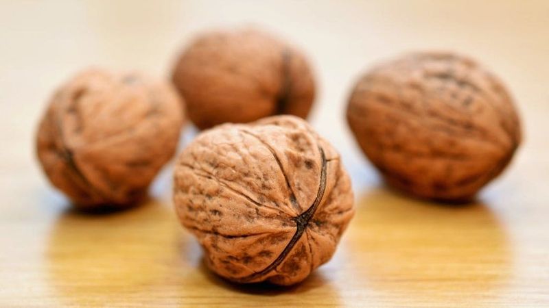 is walnut good for diabetes