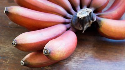 Benefit of Red Banana for People with Diabetes - Sugar.Fit's photo