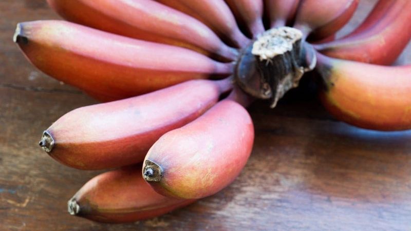 red banana for people with diabetes