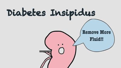 Difference Between Diabetes Mellitus & Insipidus - Sugar.Fit's photo