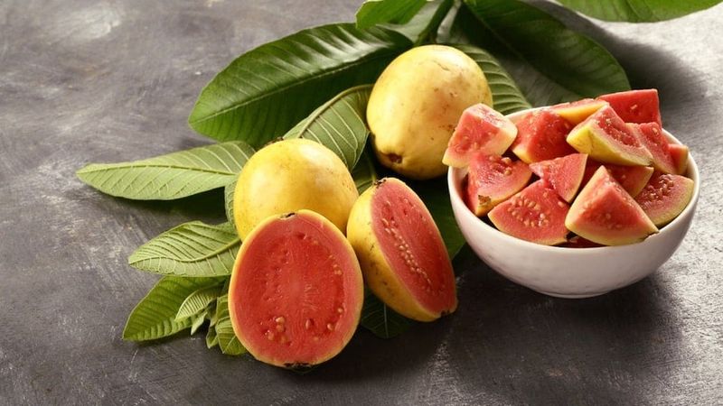 is guavas good for diabetics