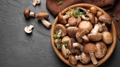 Are Mushrooms Good For People With Diabetes - Sugar.Fit's photo