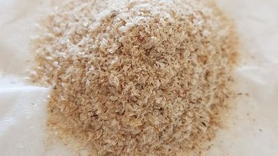Psyllium Husk for Weight Loss : How to Consume - Sugar.Fit's photo