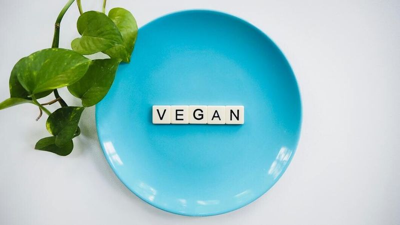 vegan diet plan for weight loss