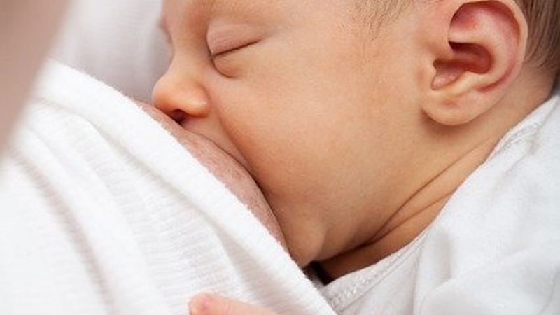 breastfeeding & weight loss