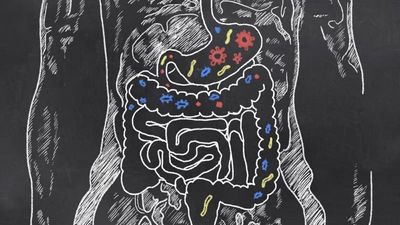 Go With Your Gut : 15 Reasons to Care about Gut Health's photo