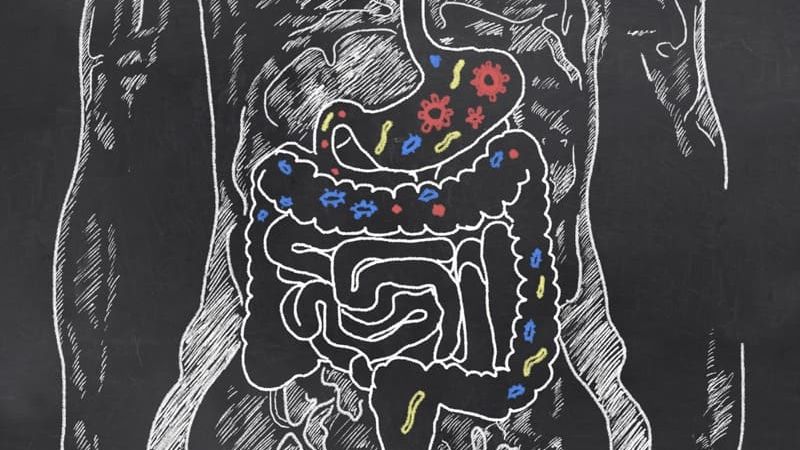 Reasons to Care about Gut Health