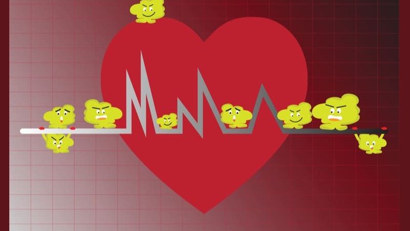 Triglycerides Level Chart