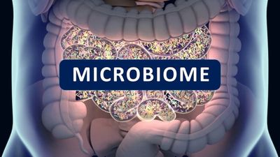Top 5 Tips for Healthy Gut Microbiome's photo