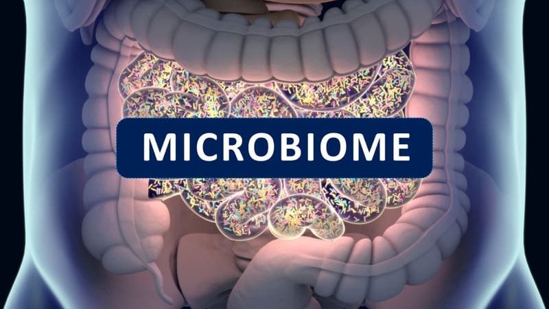 Healthy Gut Microbiome