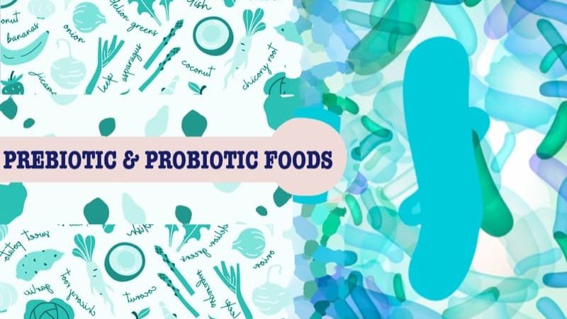 Prebiotics & Probiotics Impact Gut Health