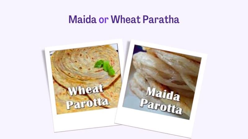 Maida Paratha v/s Wheat Paratha