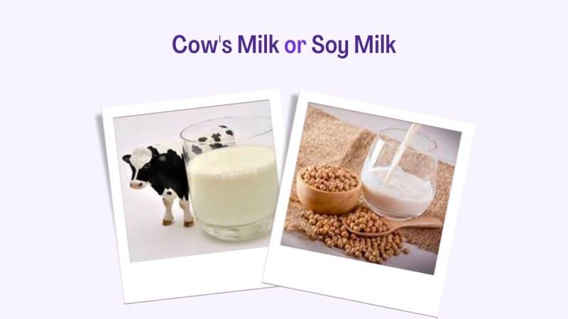 Cow's Milk v/s Soya Milk