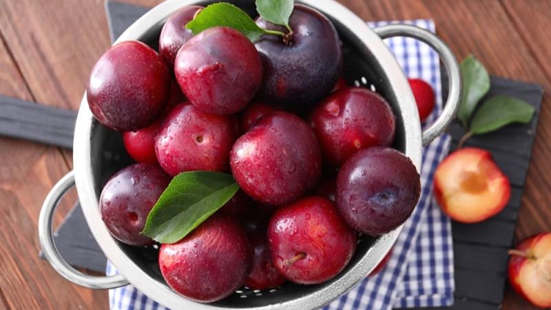 is plum good for diabetes
