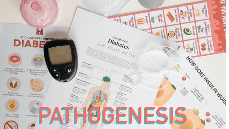 pathogenesis and pathophysiology of diabetes