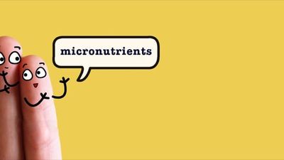 Micronutrients - Small things go a Long Way. Sugar.Fit's photo