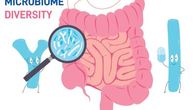 Diversity in Gut Microbiota - Why it matters? - Sugar.Fit's photo