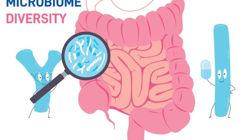 Diversity in Gut Microbiota