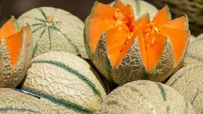 Is Pumpkin Good For  Diabetics - Sugar.Fit's photo