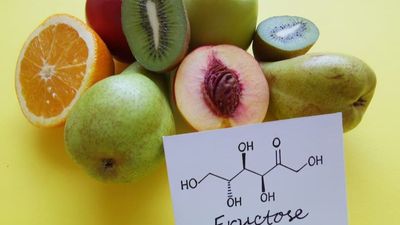 Is Fructose Good for People With Diabetes - Sugar.Fit's photo