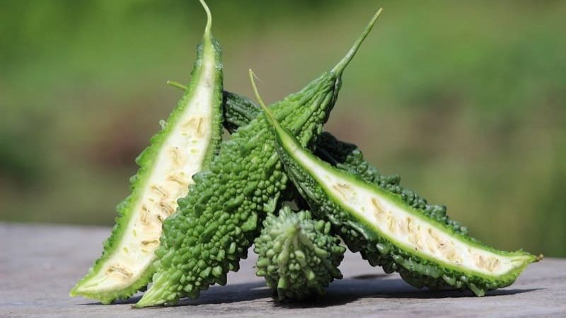 Drinking Bitter Gourd or Karela Juice For Diabetes