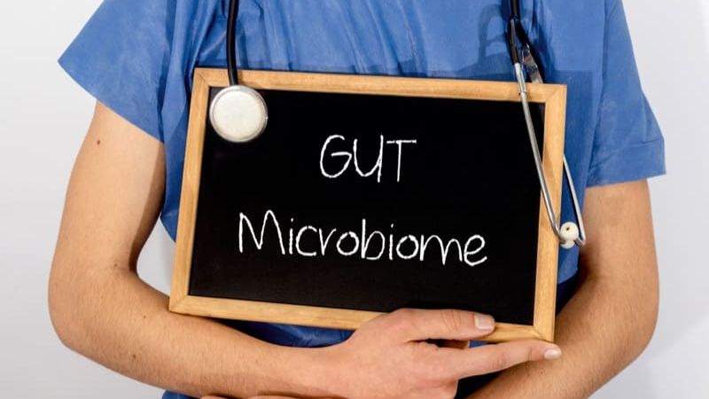Diversity of Gut Microbiome