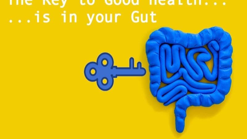 Gut Microbiome and Better Health