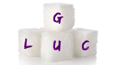 Diabetes Basics : Terms You Should Know - Sugar.Fit's photo