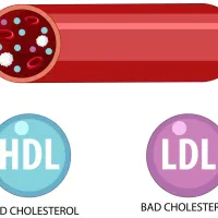  HDL Cholesterol: How to Boost your HDL Cholesterol levels - Sugar.Fit's photo