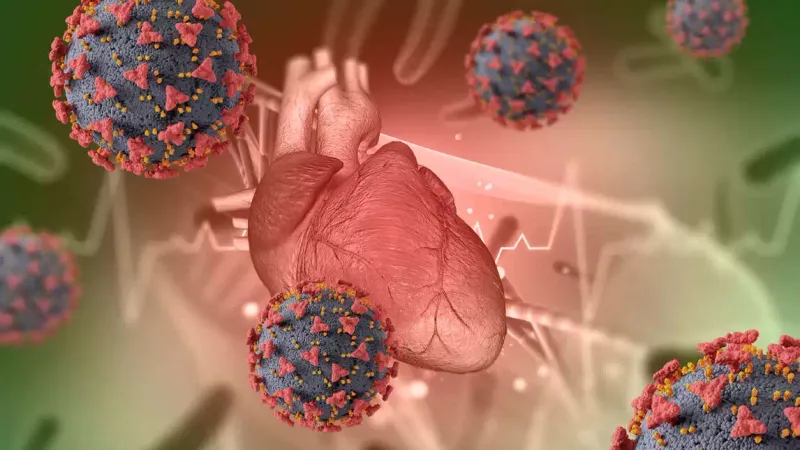 Diseases Linked To High Cholesterol