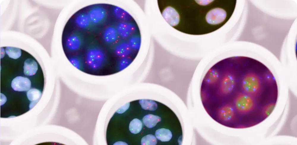 Comprehensive Diagnostic Evaluation