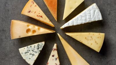Is Cheese Good For Diabetics? - Sugar.Fit's photo