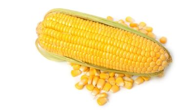 Is Corn Good For Diabetics - Sugar.Fit's photo