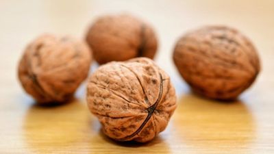 Is Walnut Good For Diabetes? - Sugar.Fit's photo